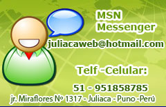 Contactos mediante msn messenger y celular