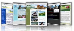 diseño eficiente de pagina web